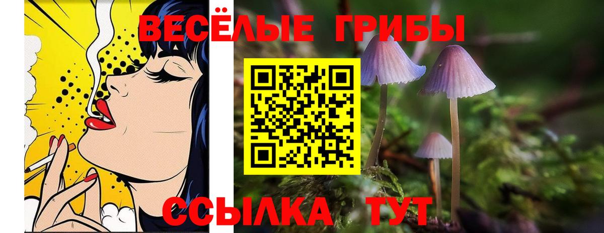 Камышин  Галлюциногенные грибы Magic Shrooms  Вход с VPN 